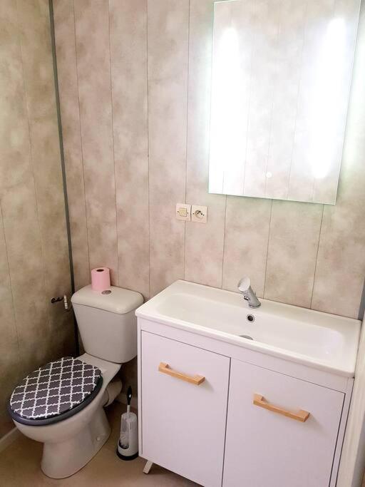 Апартаменты Le Jeanne 4/6 Couchages, Wifi, Sanctuaire Лурд Экстерьер фото